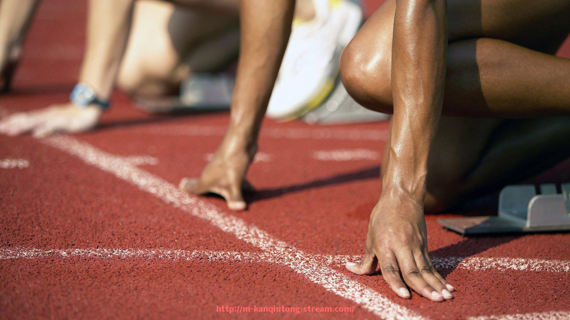 看球通-法甲联赛观众热情及球迷行为研究