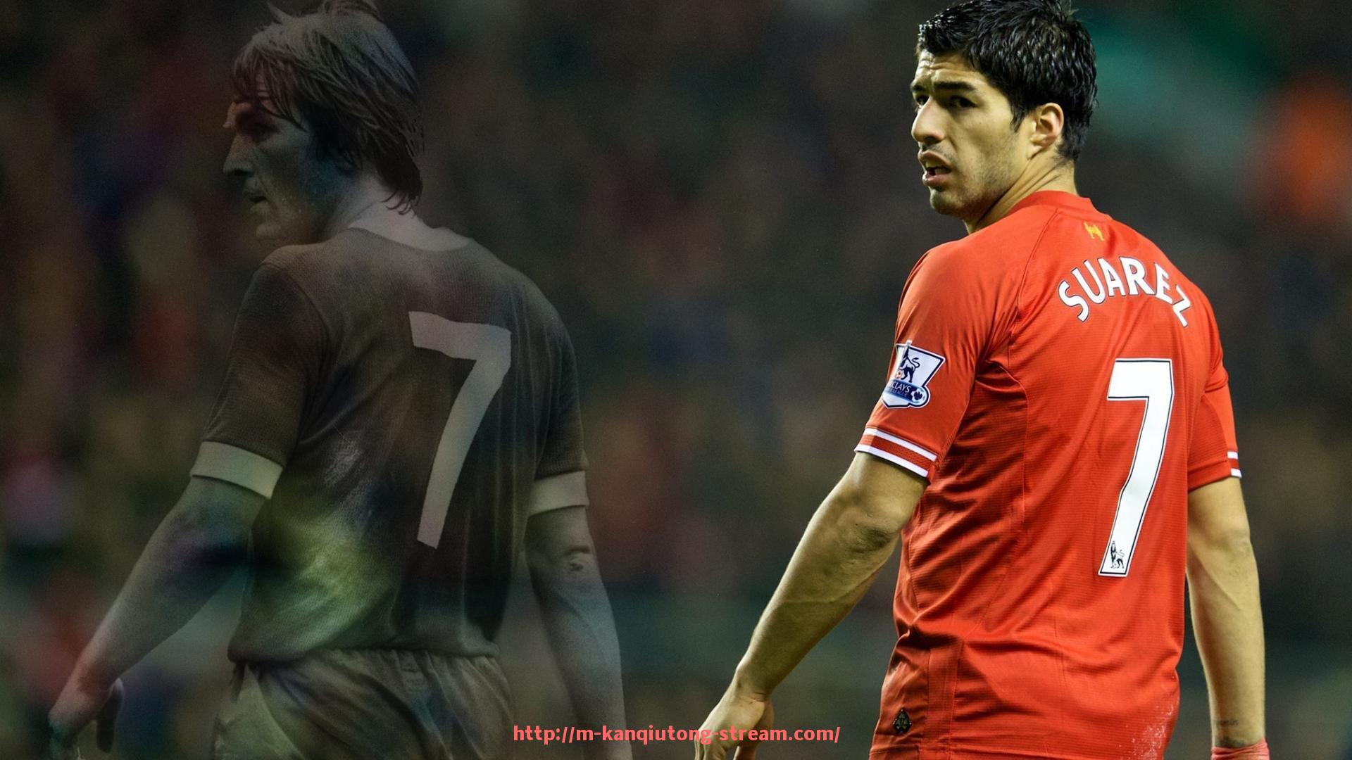 看球通-法甲联赛观众热情及球迷行为研究